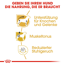Hundetrockenfutter 'Dachshund Adult ' 1,5 kg