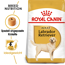 Hundetrockenfutter 'Labrador Retriever Adult ' 12 kg