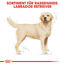 Hundetrockenfutter 'Labrador Retriever Adult ' 12 kg