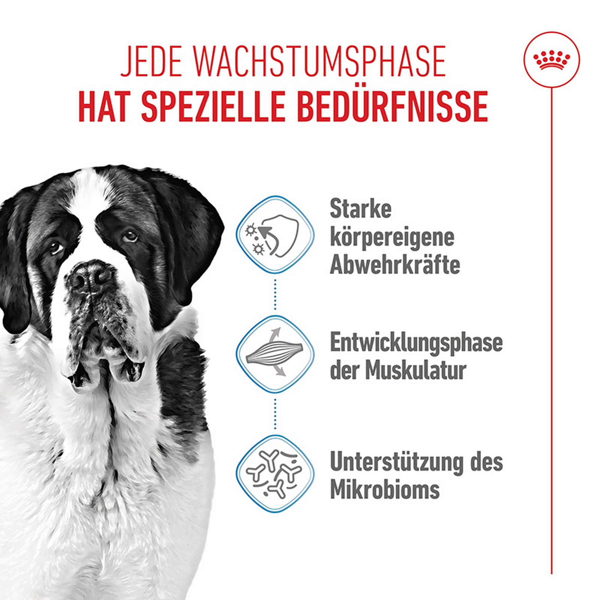 Hundetrockenfutter 'Giant Junior' 15 kg