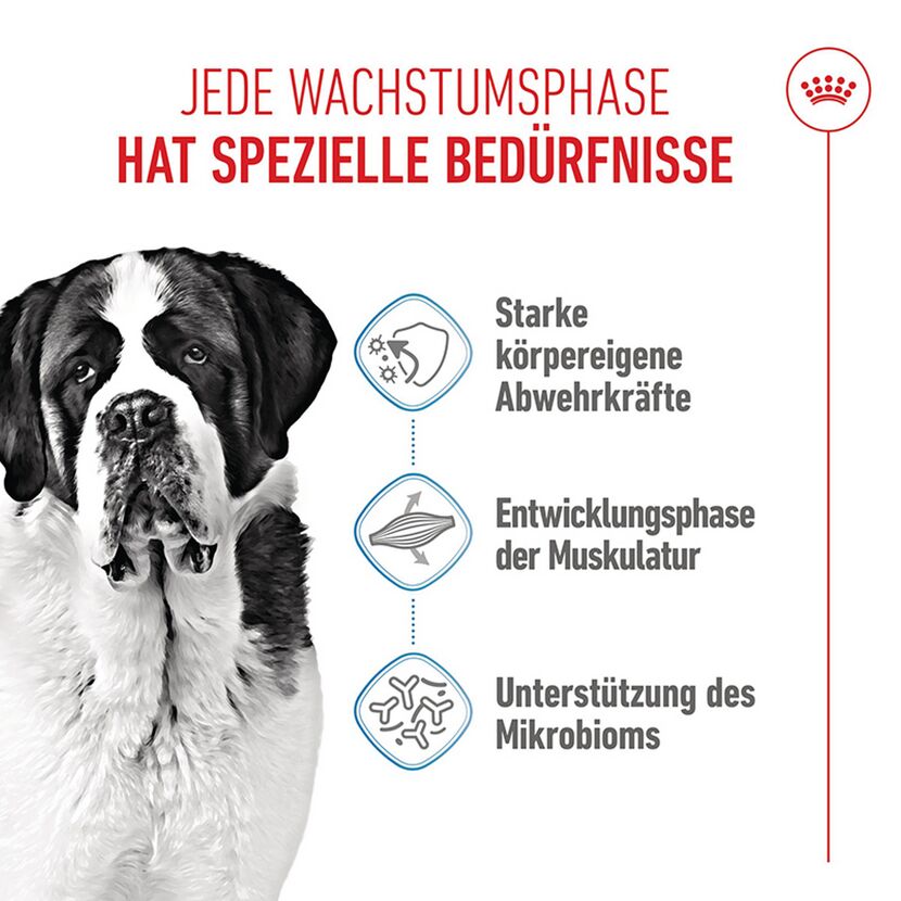 Hundetrockenfutter 'Giant Junior' 15 kg