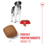Hundetrockenfutter 'Giant Junior' 15 kg