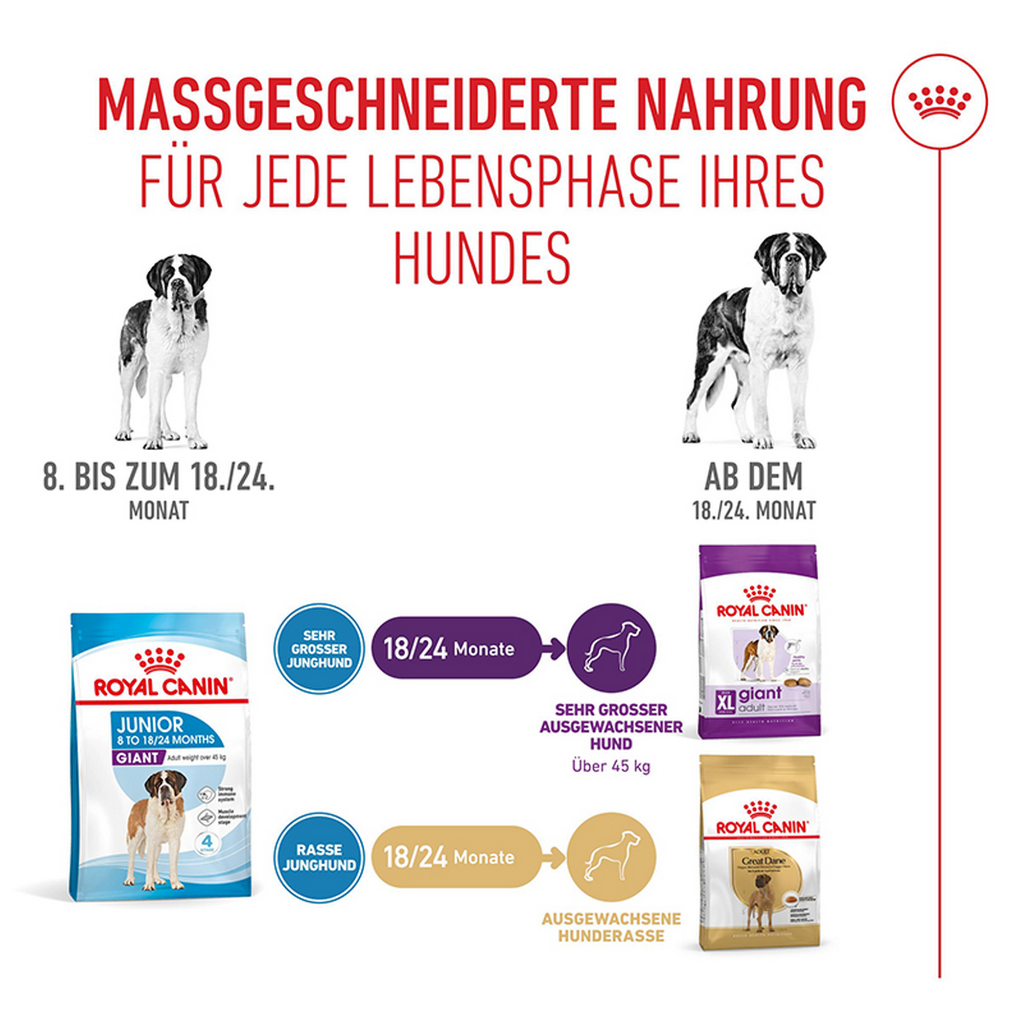 Hundetrockenfutter 'Giant Junior' 15 kg