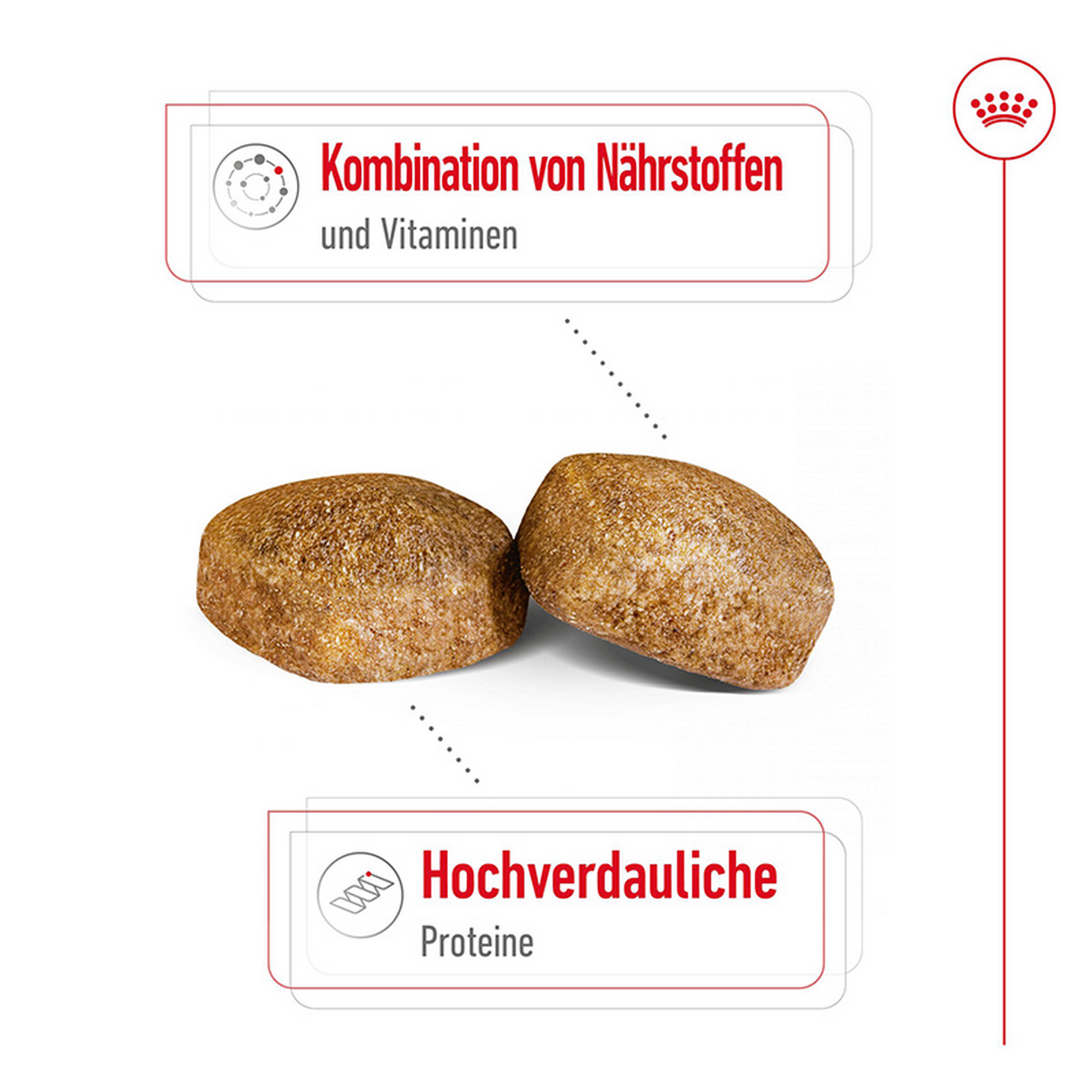 Hundetrockenfutter 'Giant Adult' 15 kg