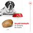 Hundetrockenfutter 'Giant Adult' 15 kg
