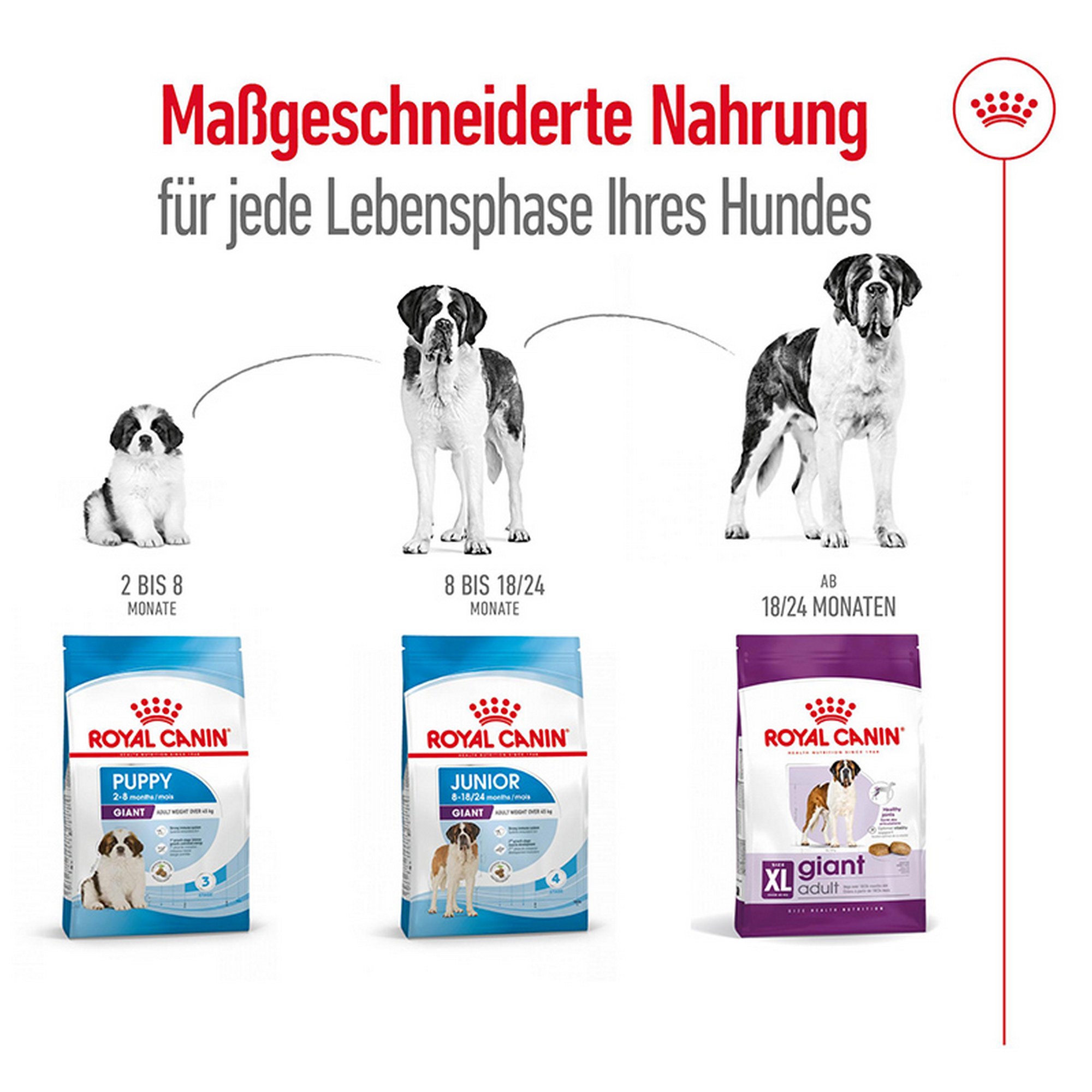 Hundetrockenfutter 'Giant Adult' 15 kg