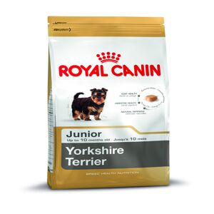 Yorkshire Terrier Junior 0,5 kg