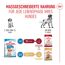 Hundetrockenfutter 'Medium Puppy' 4 kg