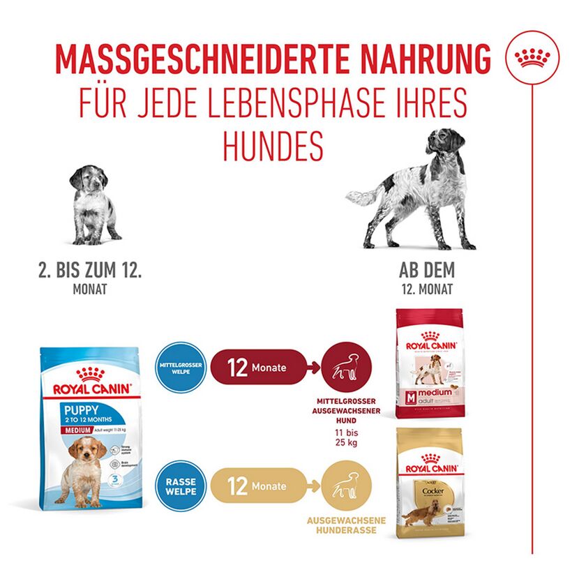Hundetrockenfutter 'Medium Puppy' 4 kg