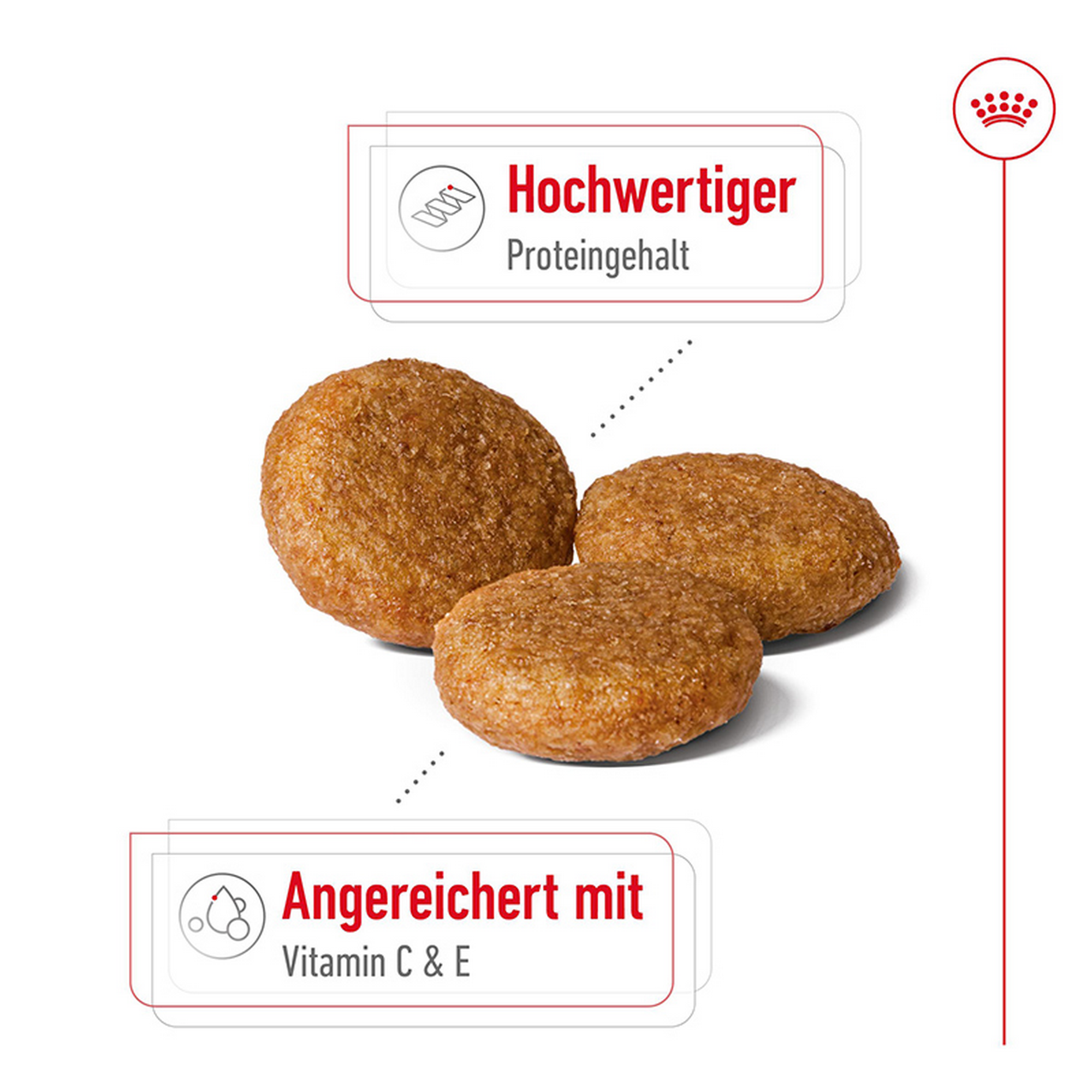 Hundetrockenfutter 'Medium Adult 7+' 4 kg