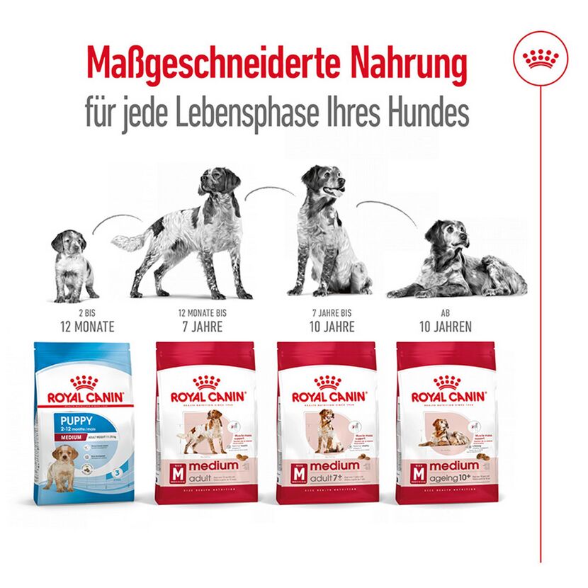 Hundetrockenfutter 'Medium Adult 7+' 4 kg