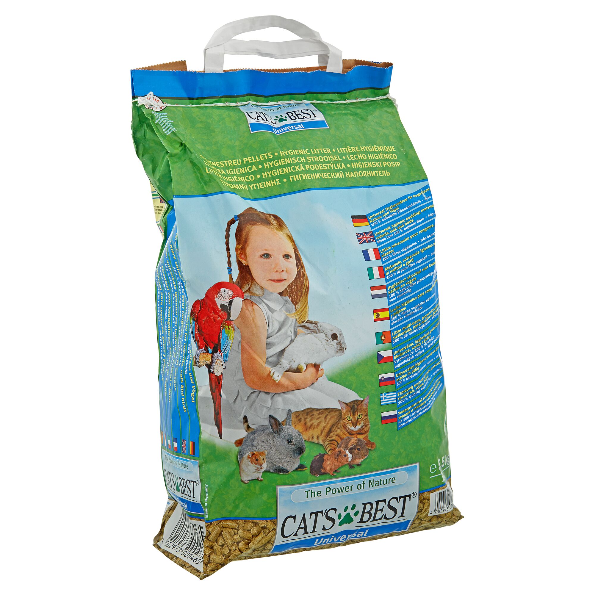 Kind mit Papagei, Kaninchen, Katze, Hamster und Meerschweinchen