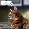 Katzennassfutter 'Wildpastete auf Aspik' 100 g