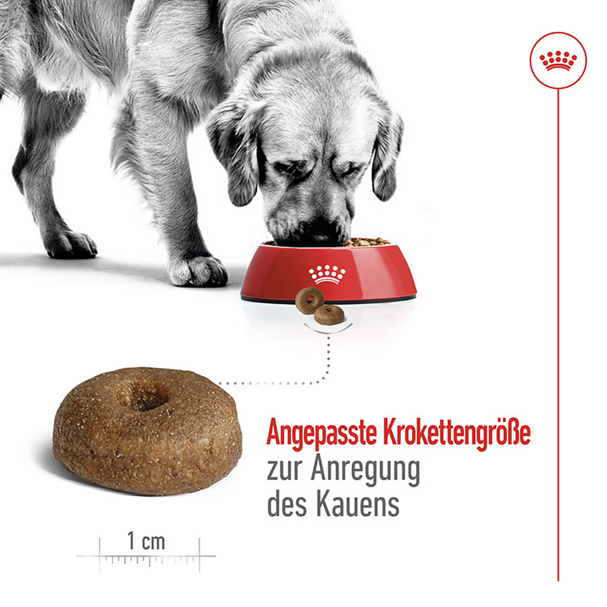 Hundetrockenfutter 'Maxi Ageing 8+' 15 kg