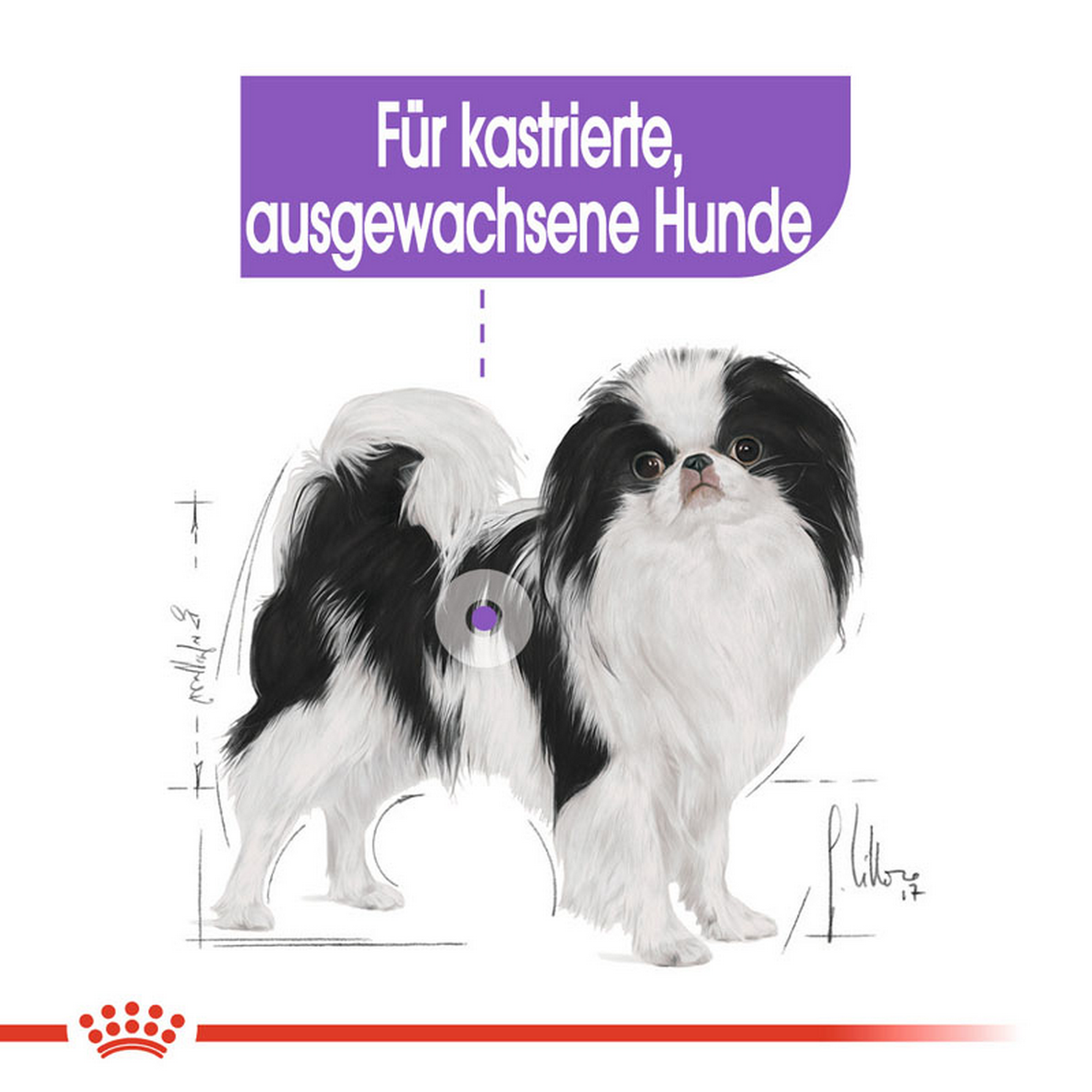 Hundetrockenfutter 'X-Small Adult ' 1.5 kg