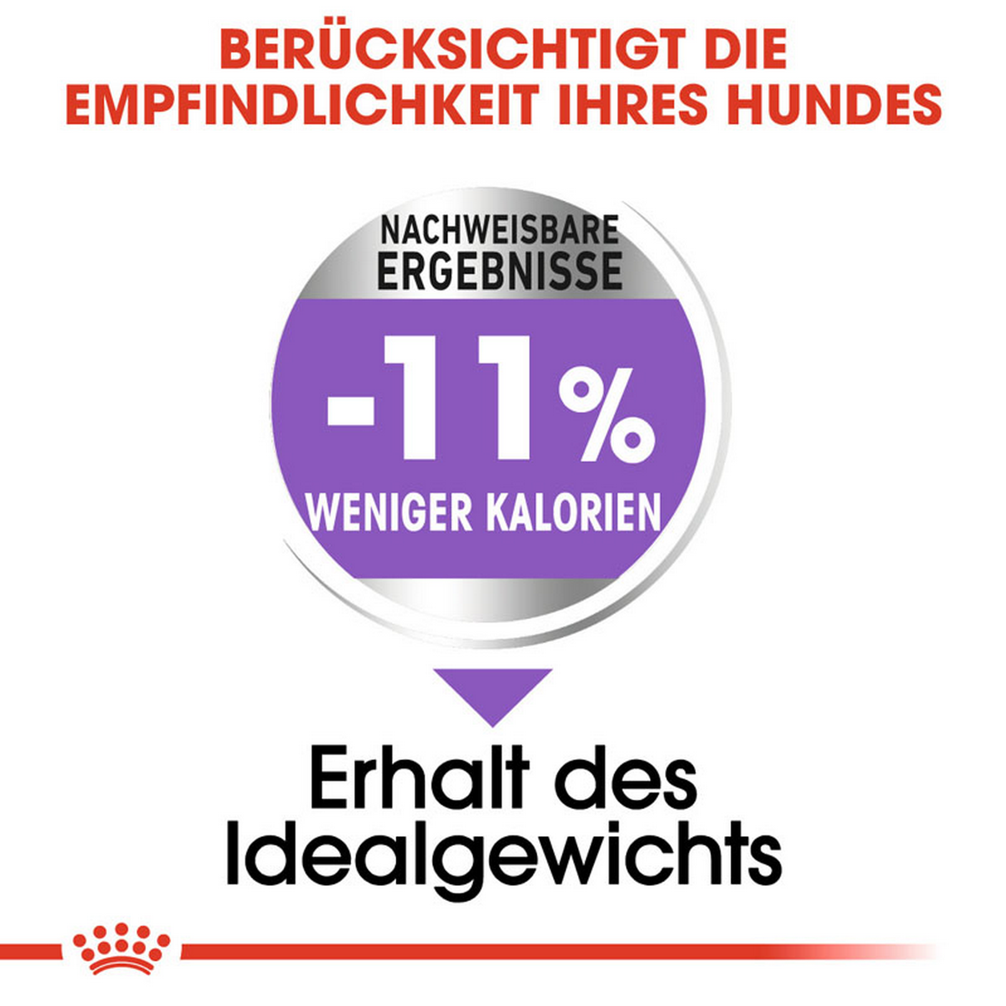 Hundetrockenfutter 'X-Small Adult ' 1.5 kg