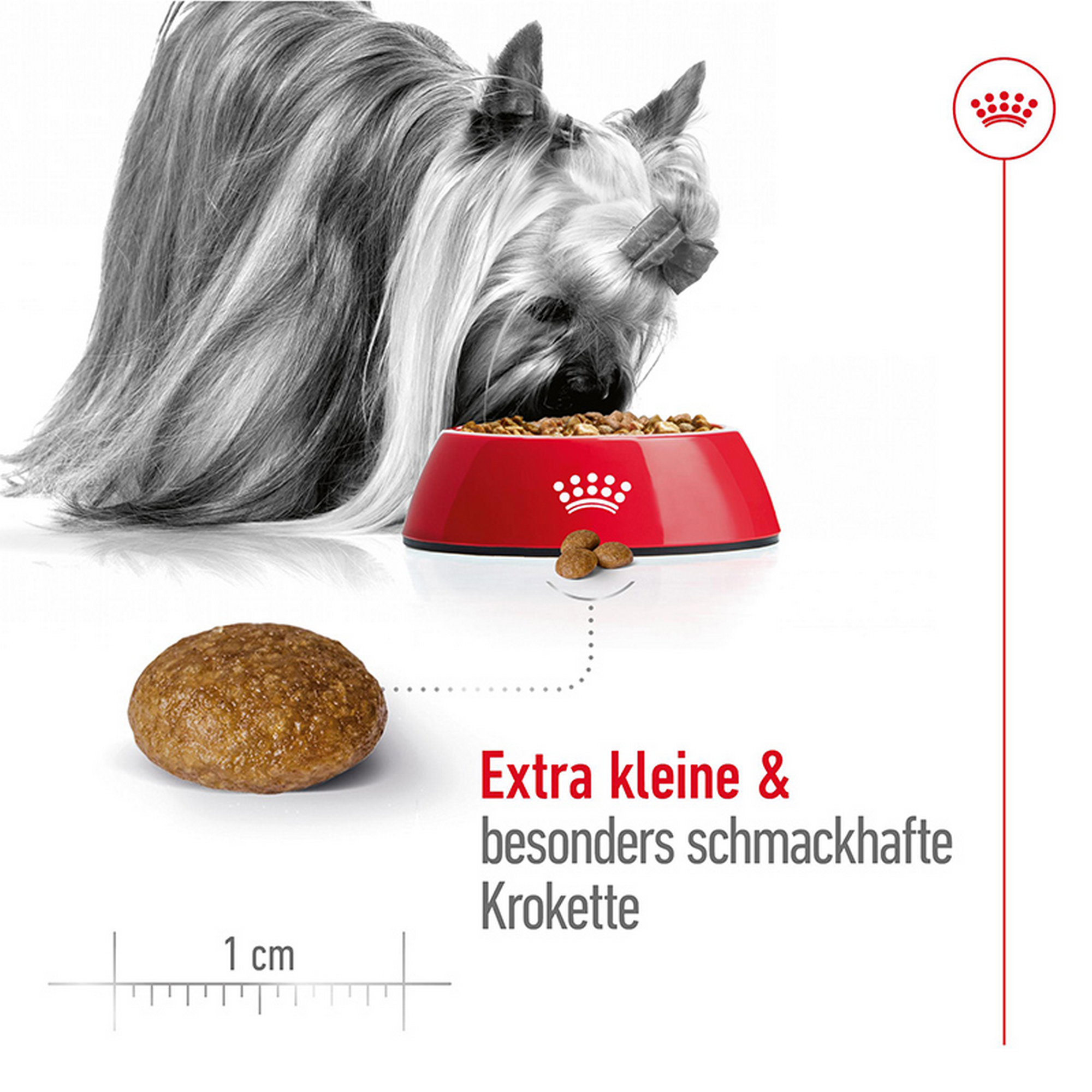 Hundetrockenfutter 'X-Small Adult 8+' 3 kg