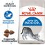 Katzentrockenfutter 'Indoor Adult' 10 kg