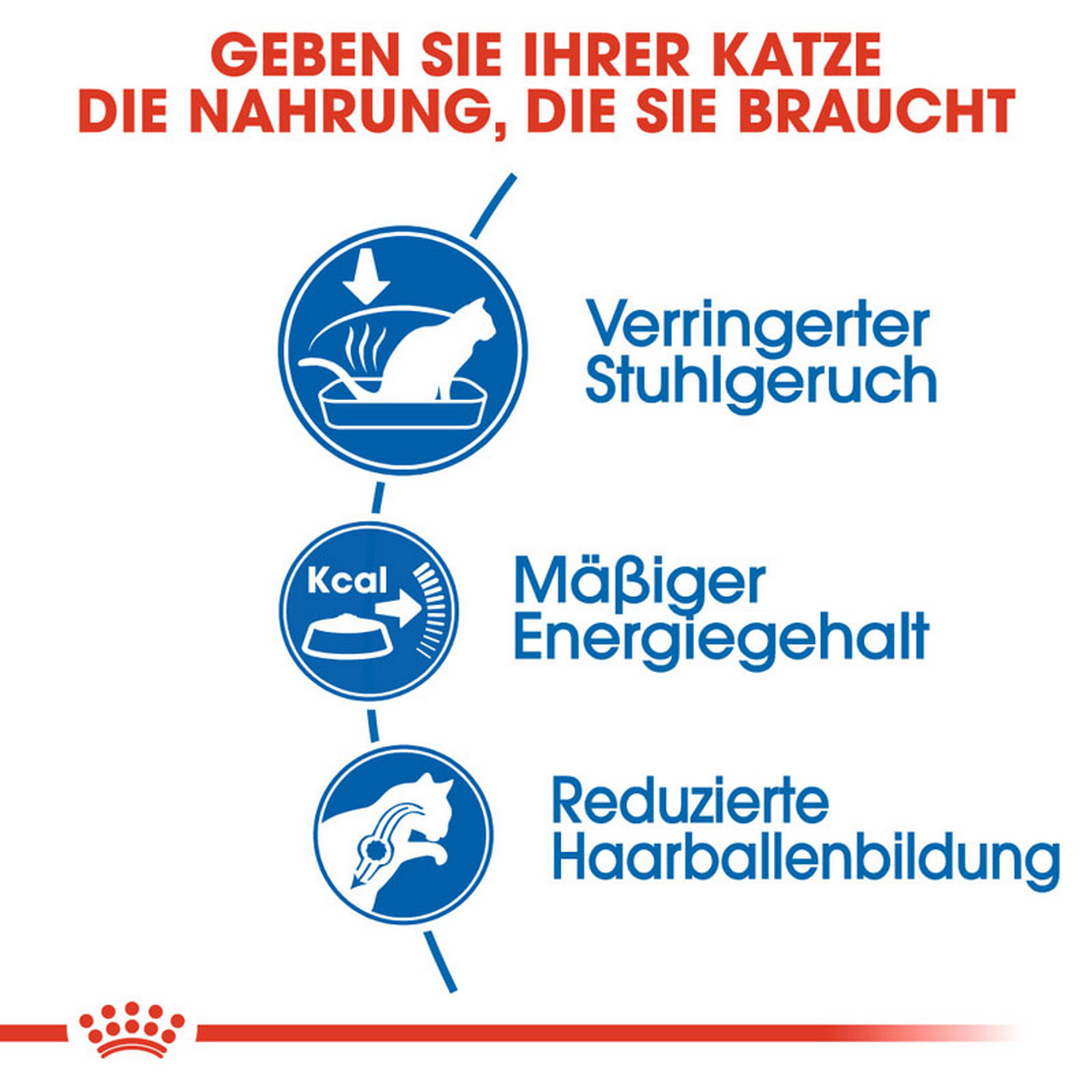 Katzentrockenfutter 'Indoor Adult' 10 kg