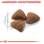 Katzentrockenfutter 'Indoor Adult' 10 kg