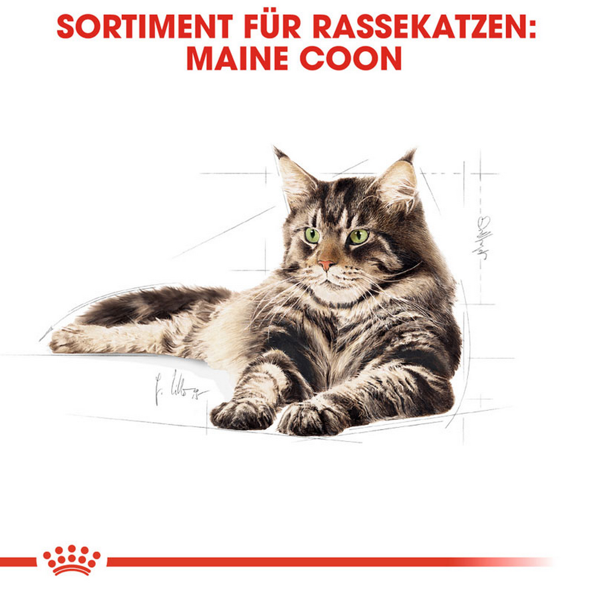 Katzentrockenfutter 'Maine Coon Adult' 10 kg