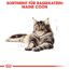 Katzentrockenfutter 'Maine Coon Adult' 10 kg