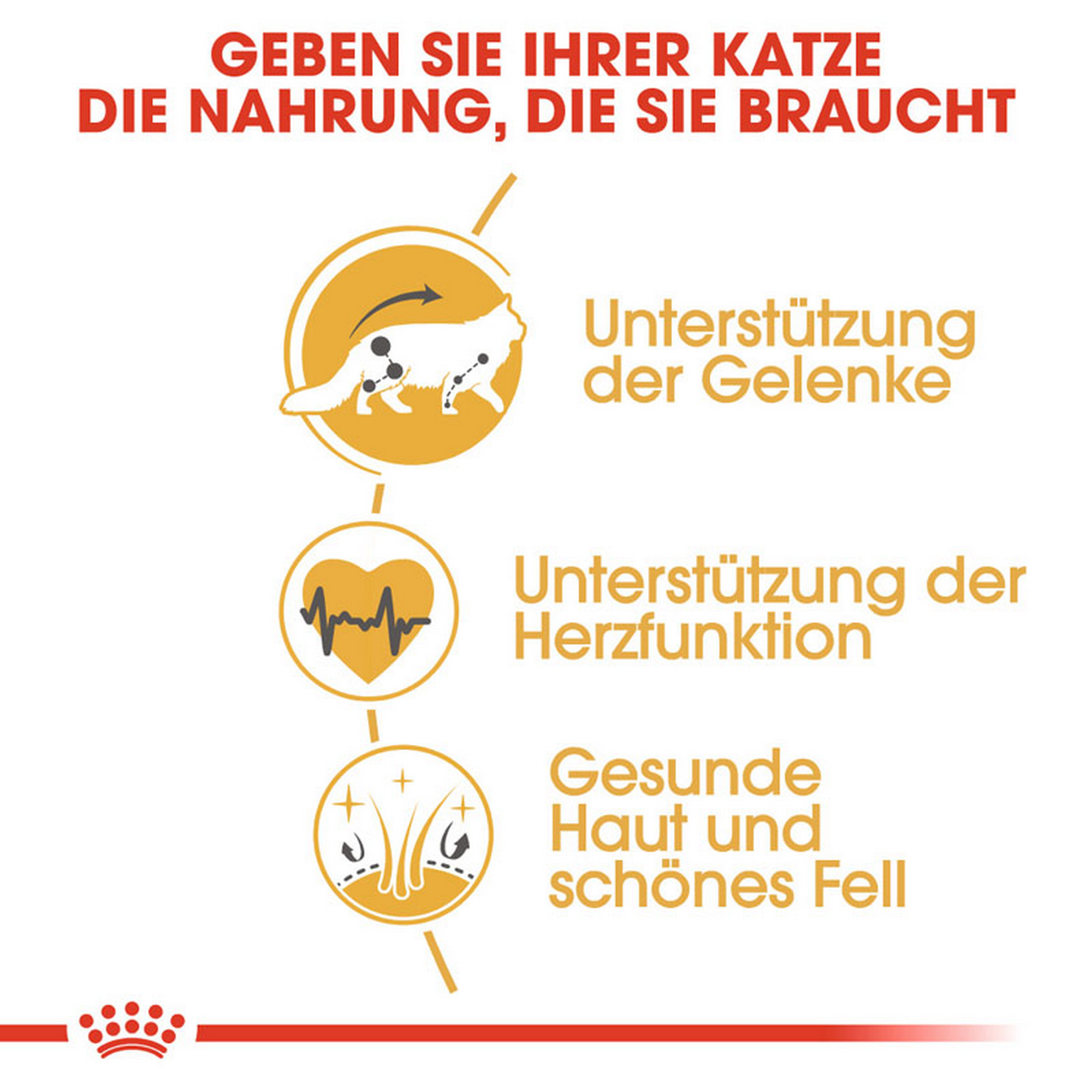 Katzentrockenfutter 'Maine Coon Adult' 10 kg