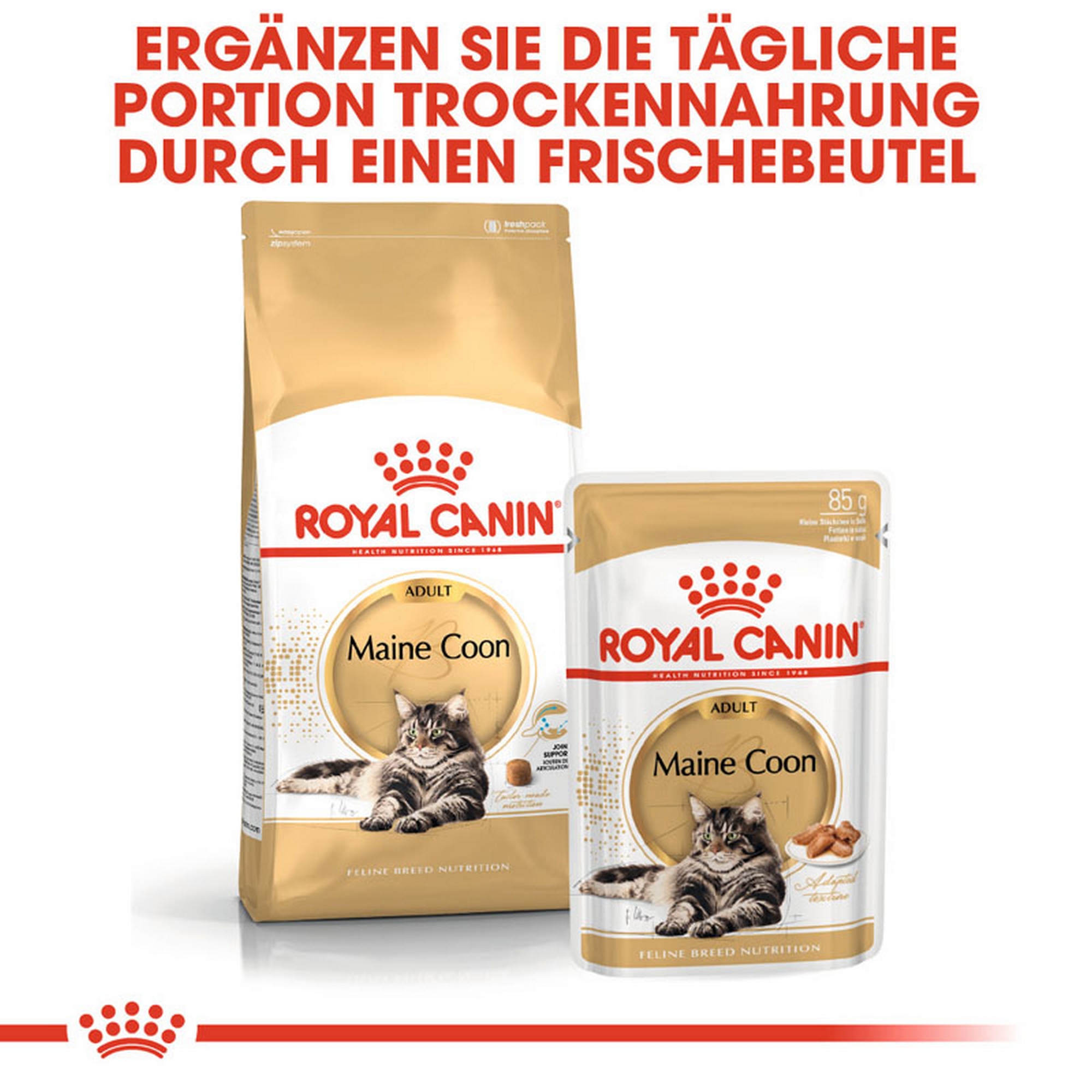 Katzentrockenfutter 'Maine Coon Adult' 10 kg