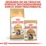 Katzentrockenfutter 'Maine Coon Adult' 10 kg