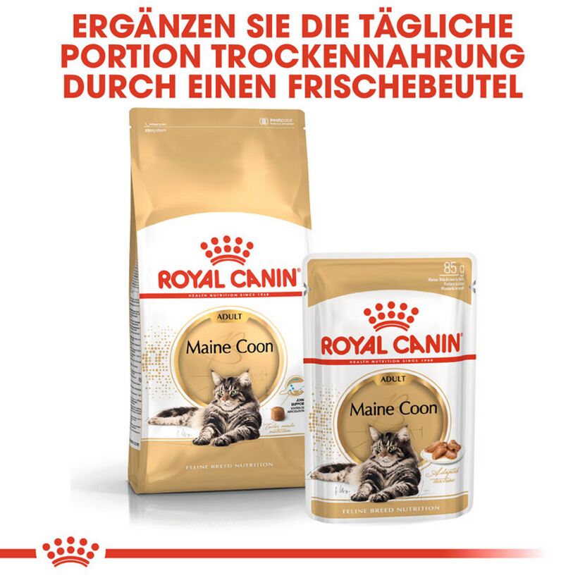 Katzentrockenfutter 'Maine Coon Adult' 10 kg