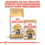 Katzentrockenfutter 'Maine Coon Adult' 10 kg