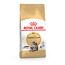 Katzentrockenfutter 'Maine Coon Adult' 10 kg