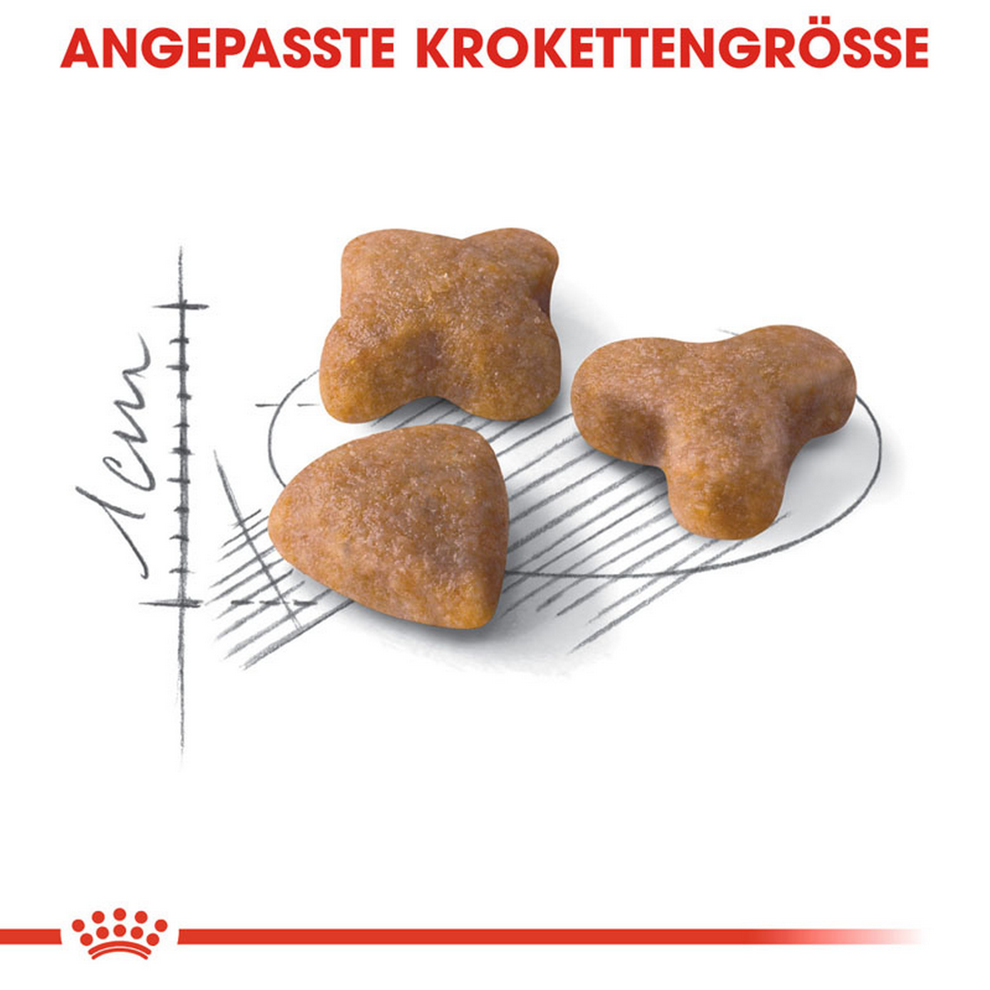 Katzentrockenfutter 'Sensible Adult' 10 kg