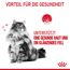 Katzentrockenfutter 'Hair & Skin Adult' 2 kg