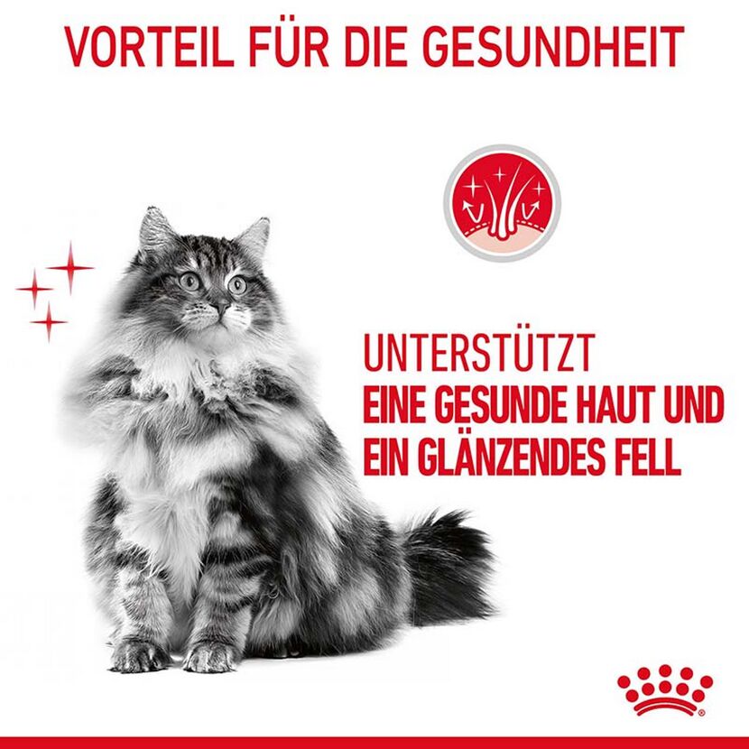 Katzentrockenfutter 'Hair & Skin Adult' 2 kg