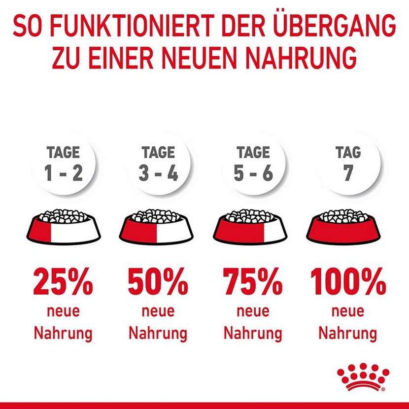Katzentrockenfutter 'Hair & Skin Adult' 2 kg