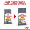 Katzentrockenfutter 'Hair & Skin Adult' 2 kg