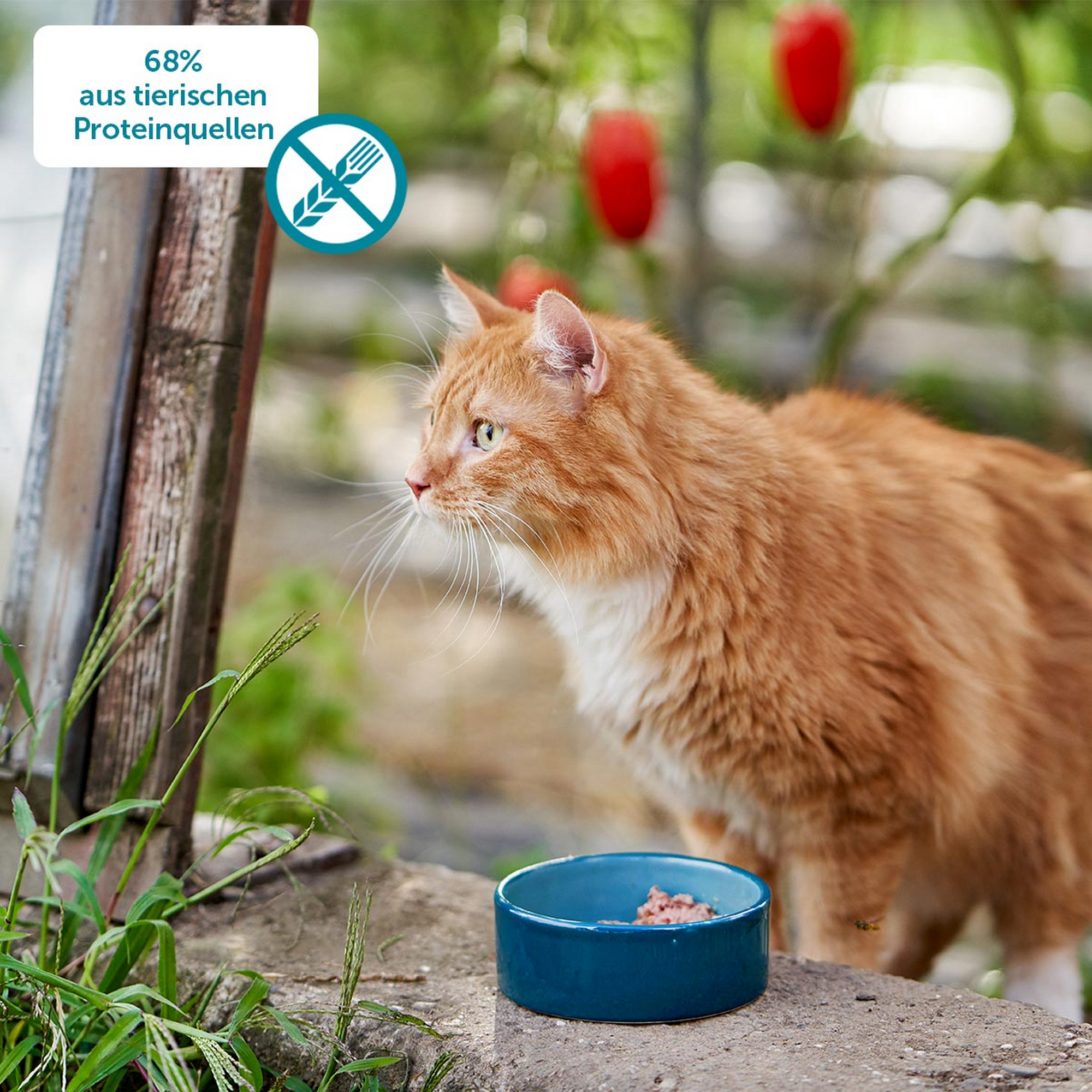 Huhn mit Kartoffeln 400 g