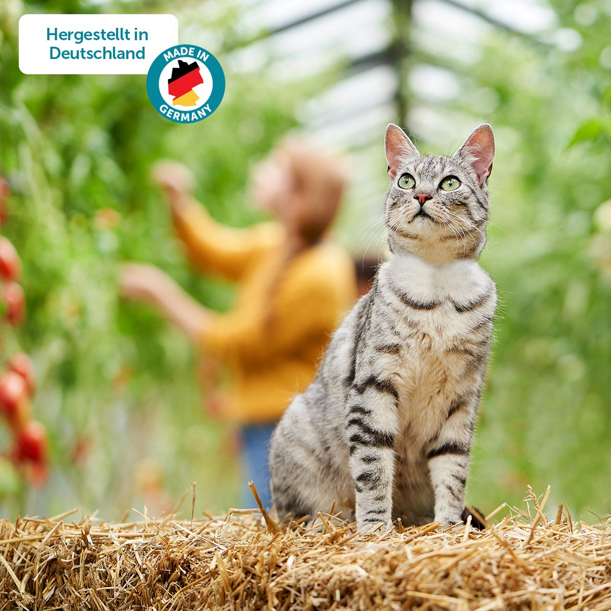 Naturkost Pute mit Kartoffeln 100 g