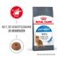 Katzentrockenfutter 'Light Weight Adult' 1.5 kg
