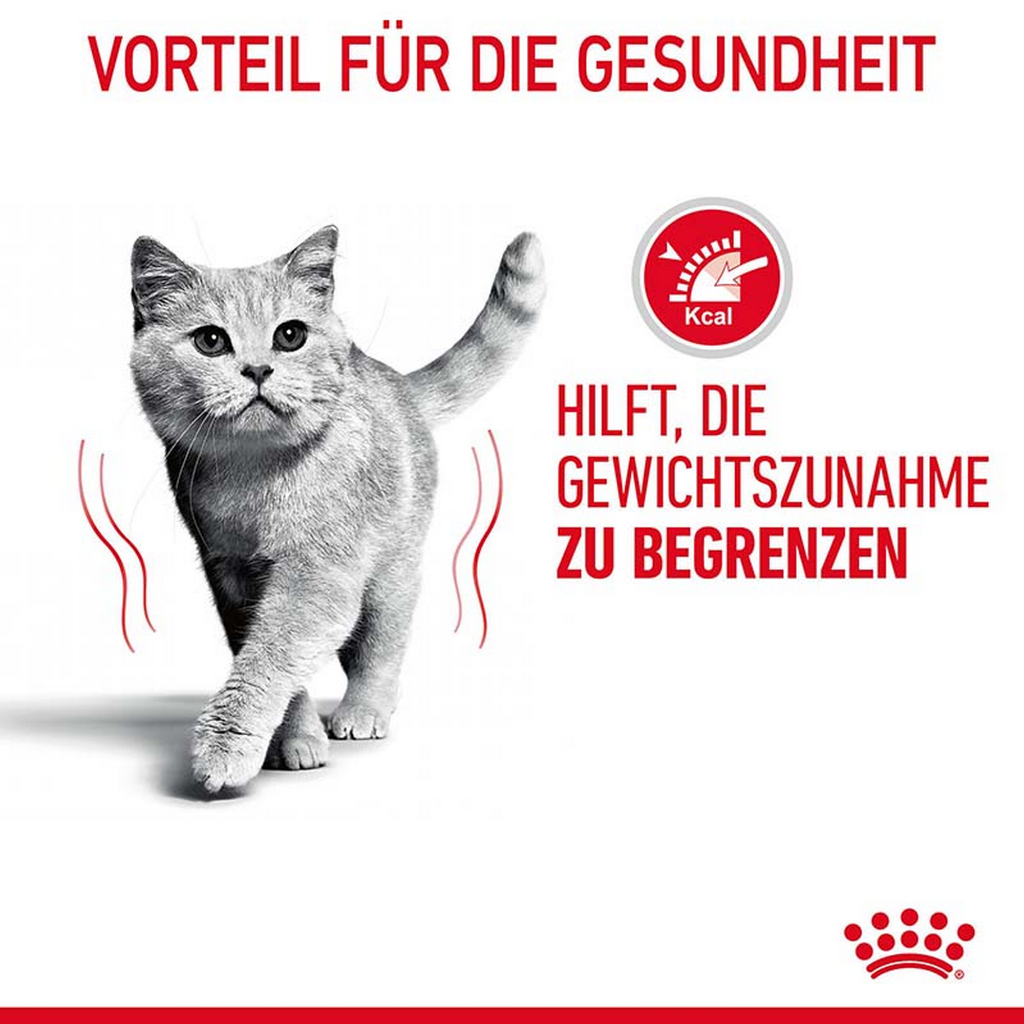 Katzentrockenfutter 'Light Weight Adult' 1.5 kg