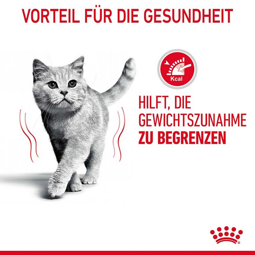 Katzentrockenfutter 'Light Weight Adult' 1.5 kg