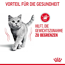 Katzentrockenfutter 'Light Weight Adult' 1.5 kg