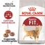 Katzentrockenfutter 'Fit Adult' 10 kg