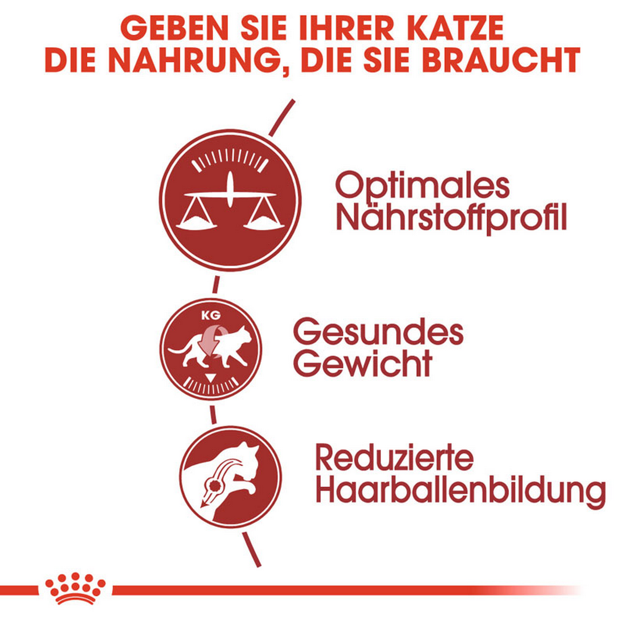 Katzentrockenfutter 'Fit Adult' 10 kg