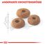 Katzentrockenfutter 'Fit Adult' 10 kg