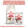 Katzentrockenfutter 'Fit Adult' 10 kg