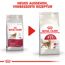 Katzentrockenfutter 'Fit Adult' 10 kg