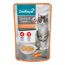 Katzennassfutter 'Delikate Suppe Hühnerbrustfilet und Karotte' 40 g