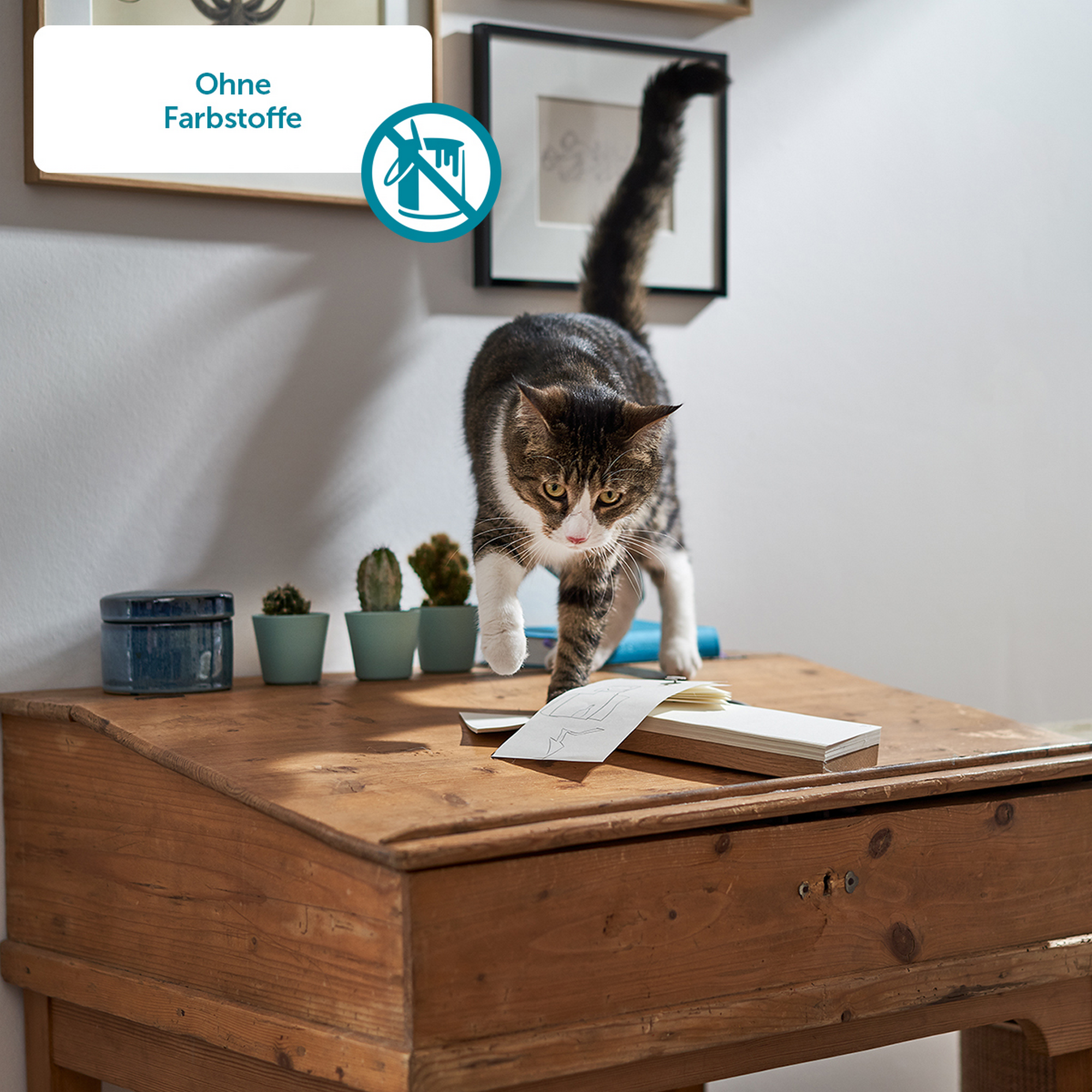 Bio Pastete reich an Huhn mit Pute 100 g